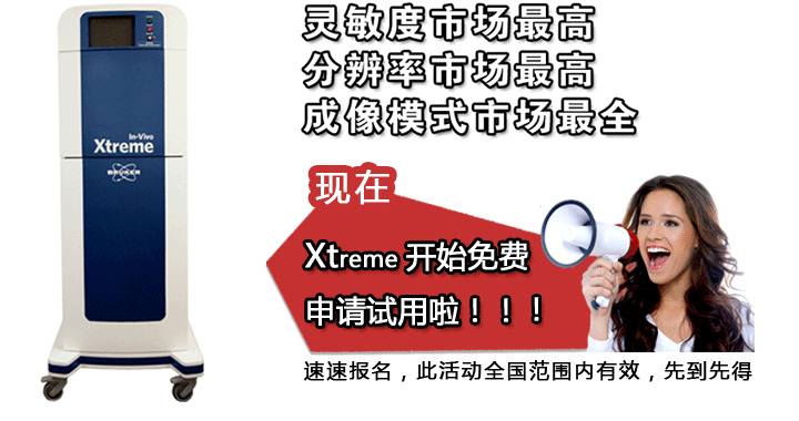 Xtreme_ʼMՈԇ