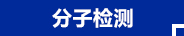 分子檢測(cè)