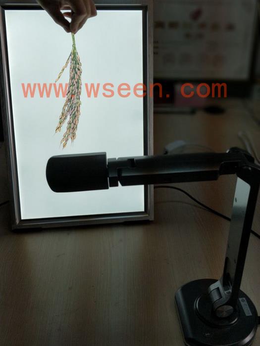萬深SC-K型水稻麥穗穗長(zhǎng)-莖粗-莖葉角測(cè)量?jī)x