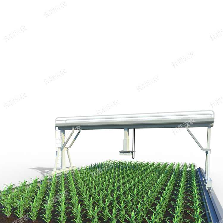 田間高通量植物表型成像系統(tǒng)-植物表型平臺(tái) 田間高通量植物表型成像系統(tǒng)-植物表型平臺(tái)