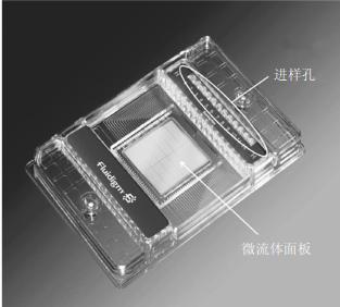 圖1 微流體dPCR的12×765 反應(yīng)芯片