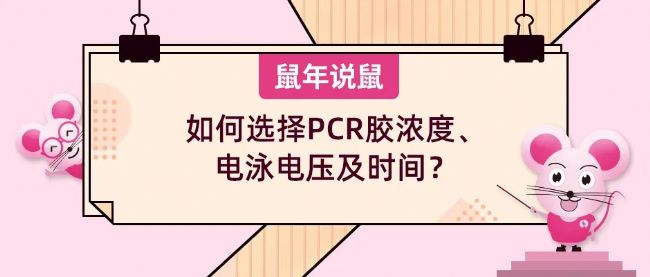 f󡷵ʮڣxPCRzӾ늉r(sh)g