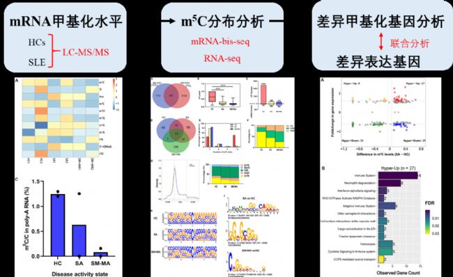 ϵy(tng)ԼtǯCD4+ T(x)mRNA m5C׻cP(gun)ĸ׃