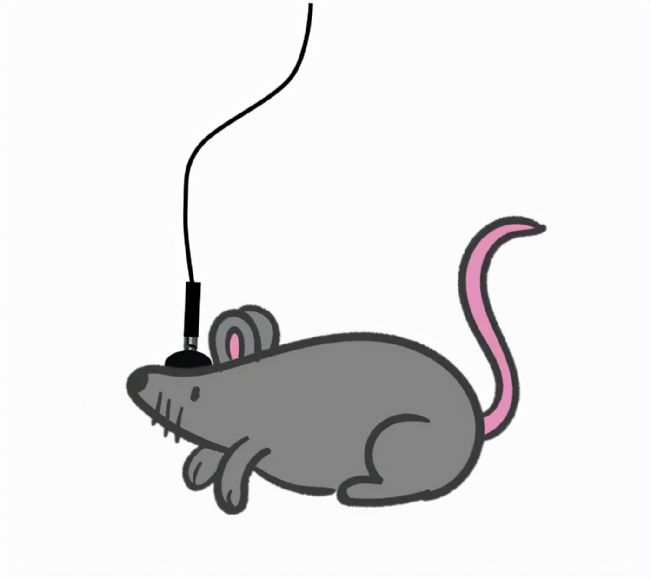 xwӛ䛌ĺĲ_Чʵ̖ݔ