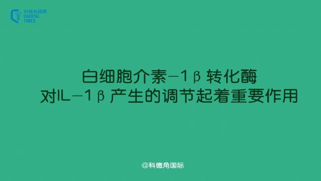 白細胞介素-1β轉化酶對IL-1β產生的調節(jié)起著重要作用