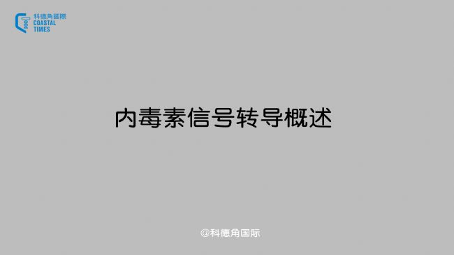 ȶ̖D