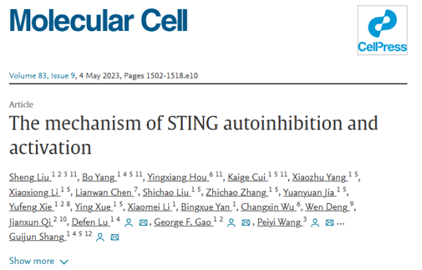 STINGÙC