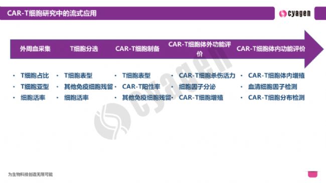 ʽ(x)g(sh)CAR-T(x)ίˎ_l(f)Б(yng)