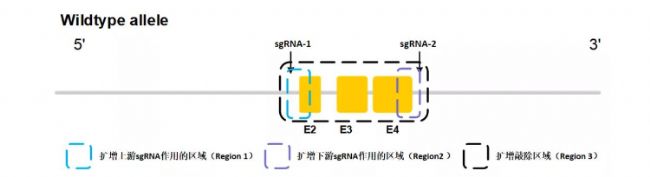 ó(gu)