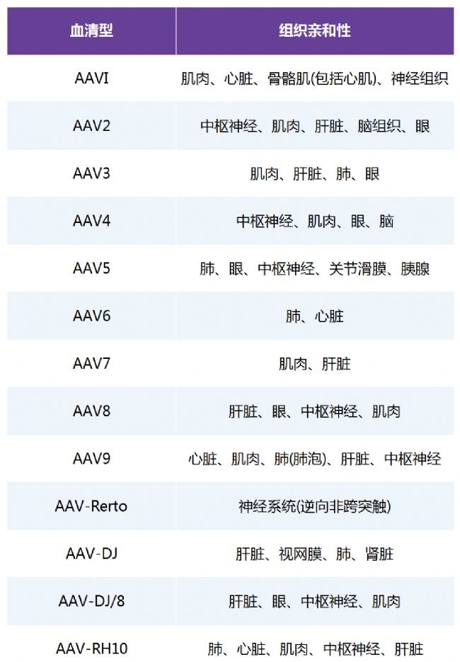 w⼚(x)(dng)w(ni)ʹõĄ(chung)AAV