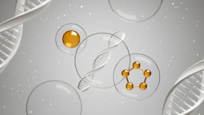 Lipid Acһ֬ڽY(ji)ʲôe