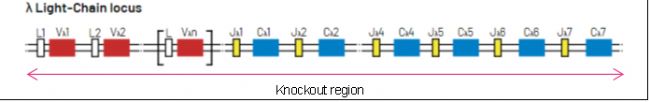 B6-Igl KOСBl(f)Ϳwоģ