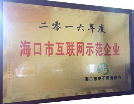 海南馬良師傅喜獲?谑谢ヂ(lián)網(wǎng)示范企業(yè)稱號