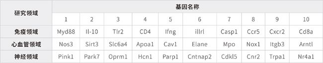 ޕrF(tun)ُ
