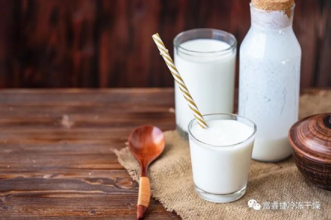 益生菌制品冷凍干燥應(yīng)用和工藝